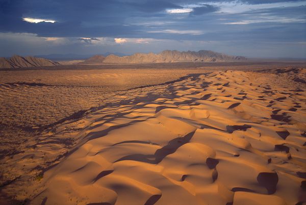 UNESCO c&ocirc;ng bố 5 Di sản Thế giới Mới